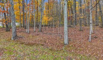 419 Algerine St, Afton, NY 13730