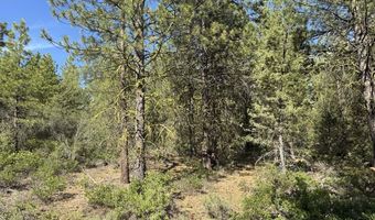 Thunderbear Road 46, Bonanza, OR 97623