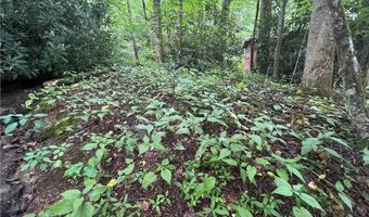 Tbd Clubhouse Drive, Banner Elk, NC 28604