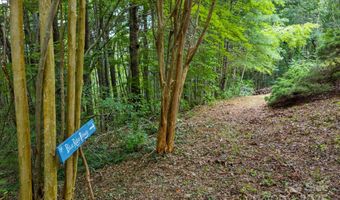 150 Avondale Ridge Rd, Asheville, NC 28803
