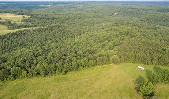 COUNTY ROAD 22, Arley, AL 35541