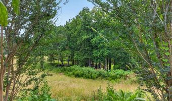 Conns Creek Road, Ball Ground, GA 30107