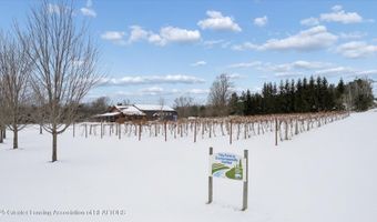 8370 Lakeview Rd, Alanson, MI 49706