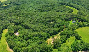 989 Schlessman Rd, Anderson, MO 64831