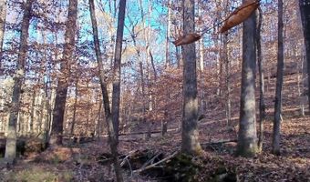 BLACKJACK ROAD lot 0, Argo, AL 35173