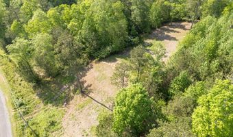 LOT 32 ROCK CREEK PENINSULA, Arley, AL 35541