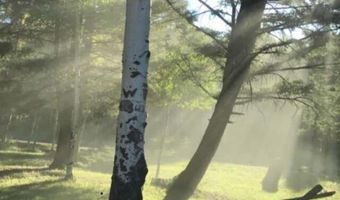 11 Vail Loop, Angel Fire, NM 87710