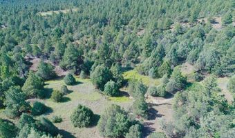 23560 Big Horn Dr, Aguilar, CO 81020