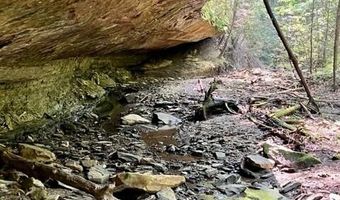 Coperas Cave Branch, Beattyville, KY 41311