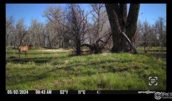 0 County Road 170, Agate, CO 80101