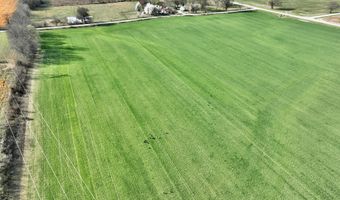 0002 CR-290, Asbury, MO 64832