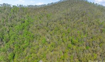 21 Reillys Bluff Rd 1, Barnardsville, NC 28709
