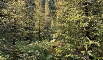 Tract 6 USFS 2294, Clark Fork, ID 83811