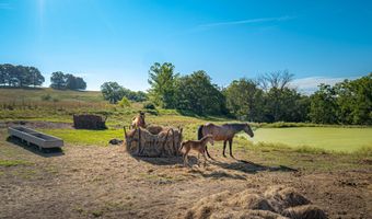 6152 County Road O-527, Ava, MO 65608