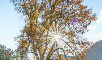 13688 Highway 238, Applegate, OR 97530