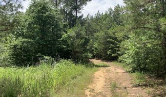 Na Metasville Road, Lincolnton, GA 30817