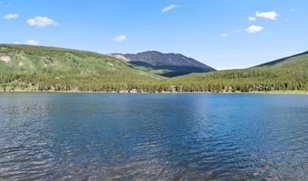 112 GREY SQUIRREL Ln, Blue River, CO 80424