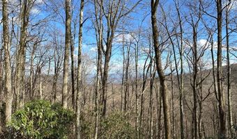 5071 Little Mountain Dr, Blowing Rock, NC 28611