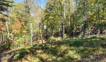 212 Judson Ridge Rd, Arden, NC 28704