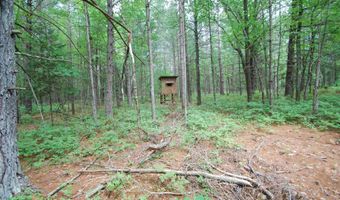 2782 River Rdg, Alger, MI 48610