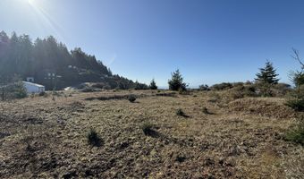 Dale Ct, Brookings, OR 97415