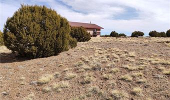 15 County Rd N8641, Concho, AZ 85924