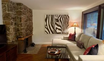 731 S Mill St 2C, Aspen, CO 81611
