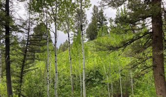 400 GROVER DRY FARM Rd, Afton, WY 83110