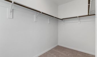 2241 Adena Springs Dr, Allen, TX 75013