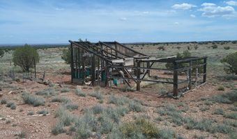 98 N9222, Concho, AZ 85924