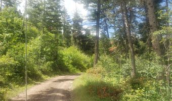 Arlee Pines lot 20, Arlee, MT 59821