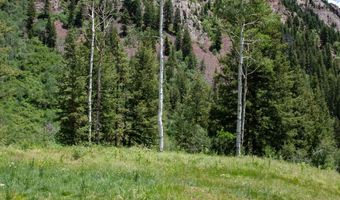 640 S Hayden Rd, Aspen, CO 81611