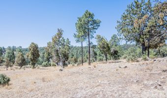 1097 State Hwy 48, Alto, NM 88312