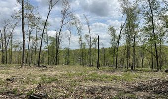 State Hwy N Tract G, Ava, MO 65608