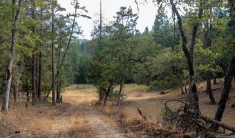 Buckhorn Springs Rd, Ashland, OR 97520