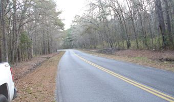 5563 Mauss Hill Rd, Adams Run, SC 29426