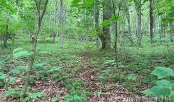 Chestnut Mountain Road, Banner Elk, NC 28604