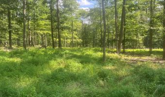 242 Brush Mountain Rd, Altoona, PA 16601
