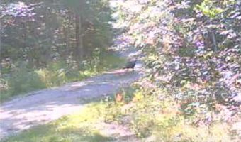 13102 Seaberg Ln, Bagley, MN 56621