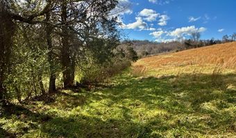 1520 Brittontown Rd, Afton, TN 37616