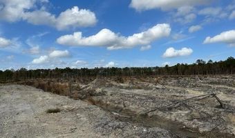 Ahoskie Cofield Road, Ahoskie, NC 27910