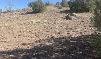 478 N8521, Concho, AZ 85924
