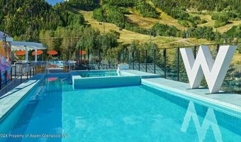 550 S Spring St F3-8, Aspen, CO 81611