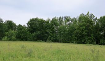V/L Roseburgh, Alger, MI 48610