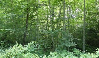 Lot 17 Farm Loop Road, Banner Elk, NC 28604