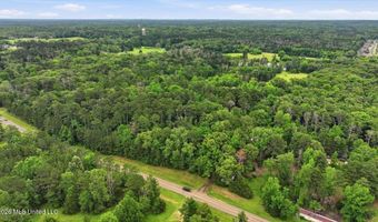 Vine Drive, Brandon, MS 39047