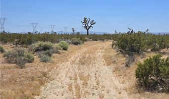 10 Beaver Avenue Acres, Adelanto, CA 92301