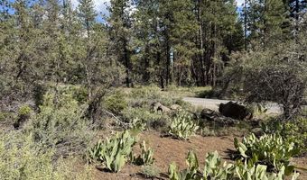 Thunderbear Road 46, Bonanza, OR 97623