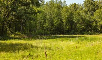 Beech Bluff Road, Beech Bluff, TN 38313