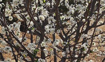 59 Wagon Rd, Alpine, TX 79830